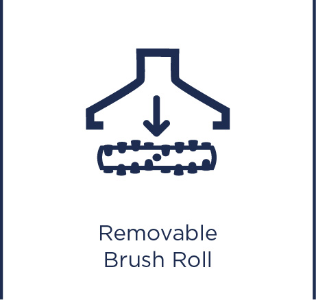 Removable brush roll